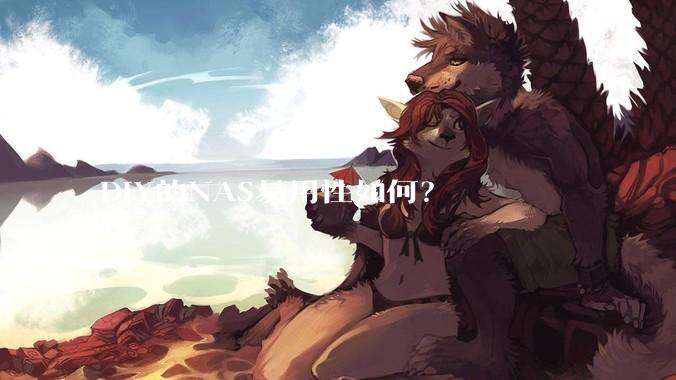 DIY的NAS易用性如何？