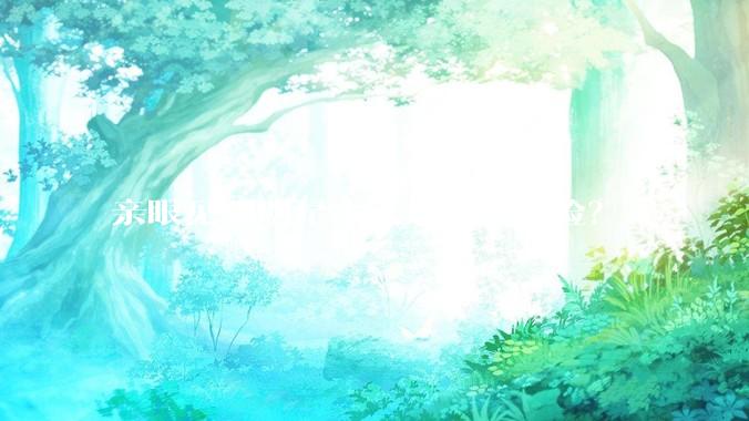亲眼见到明星本人是什么体验？