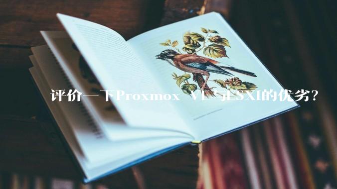 评价一下Proxmox VE与ESXi的优劣？