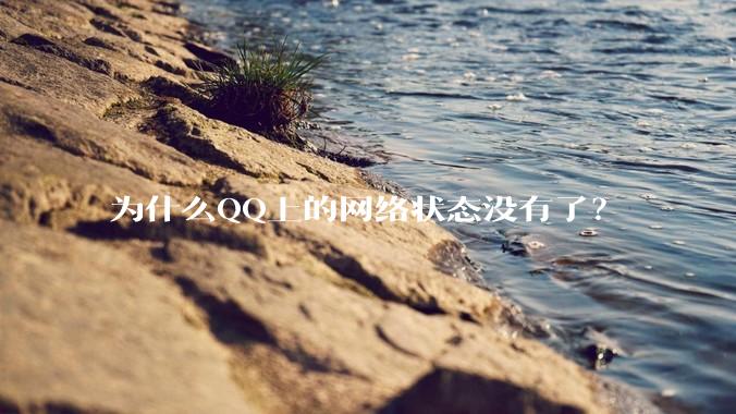 为什么QQ上的网络状态没有了？