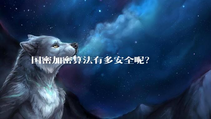 国密加密算法有多安全呢？